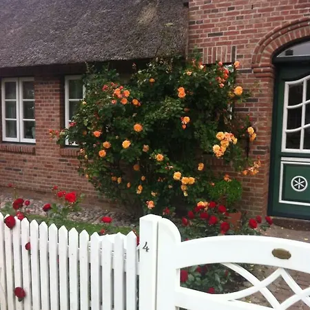 Rosenhaus Apartment *