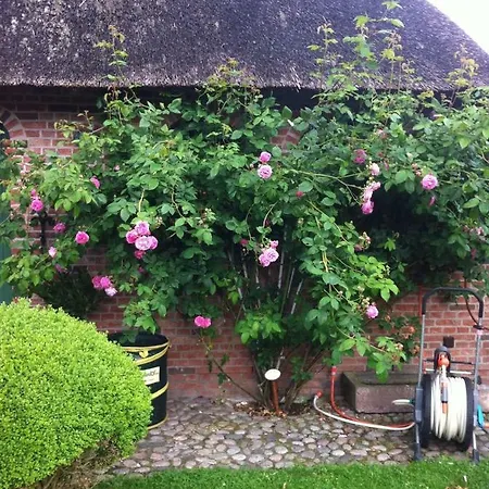 Rosenhaus Appartamento *