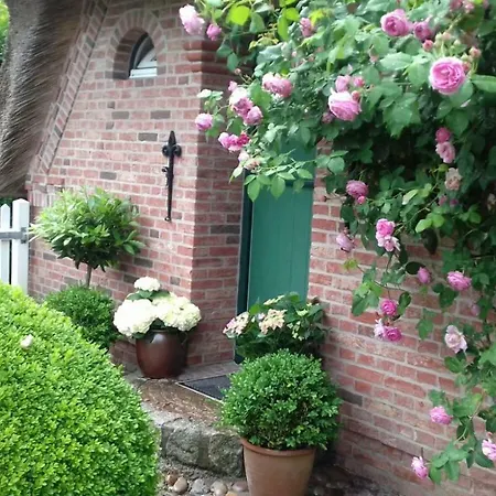 Rosenhaus Appartamento *