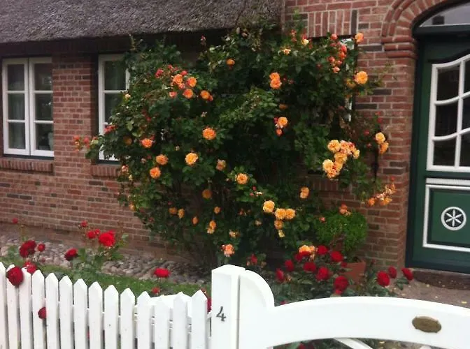 Rosenhaus 아파트 *